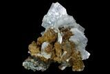 Blue Bladed Barite and Chalcopyrite Association - Morocco #91426-1